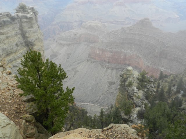 grandcanyonazsouthrim3.jpg